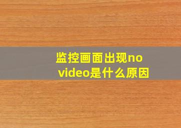 监控画面出现no video是什么原因